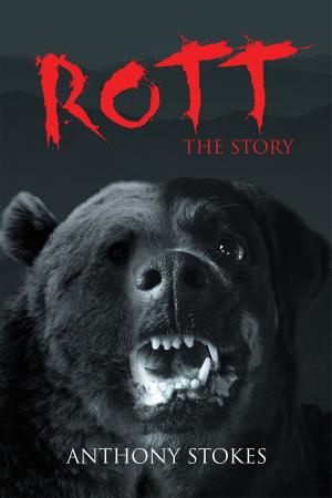 Cover of the book Rott, The Story by Melinda M. Widgren
