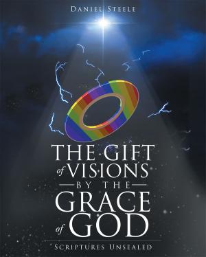 Cover of the book The Gift of Visions Unsealed by Carol Lee Ruby