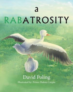 Cover of the book A RABATROSITY by Allen Weinstein