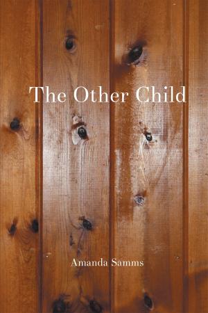 Cover of the book The Other Child by William Burghardt