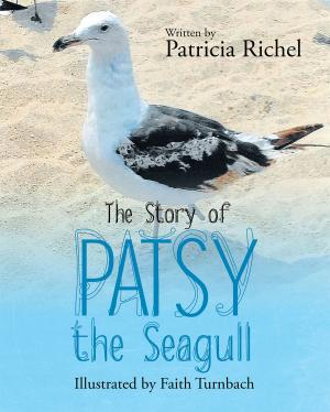 Cover of The Story of Patsy the Seagull