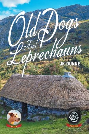 Cover of the book Old Dogs And Leprechauns by Samuel Enajero, Ph.D.