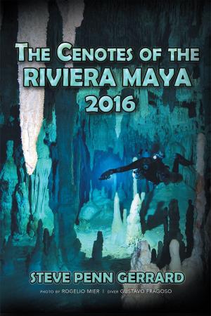 Cover of the book The Cenotes of the RIVIERA MAYA 2016 by Anita Yolanda Lacy