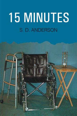 Cover of the book 15 Minutes by Rachel Zangrillo-Galcinao