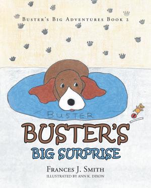 Cover of the book Buster's Big Surprise by Arthur Rothschild VIII