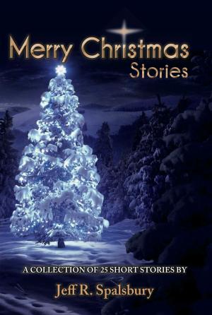 Cover of the book Merry Christmas Stories by Richard Von Meyer