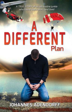 Cover of the book A Different Plan by Madeline Willis
