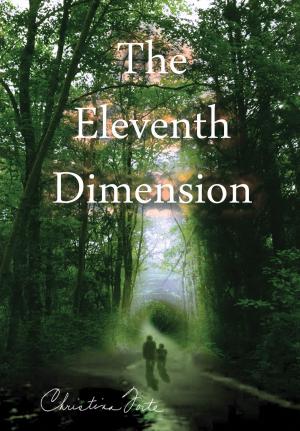 Cover of the book The Eleventh Dimension by Dona Bakker