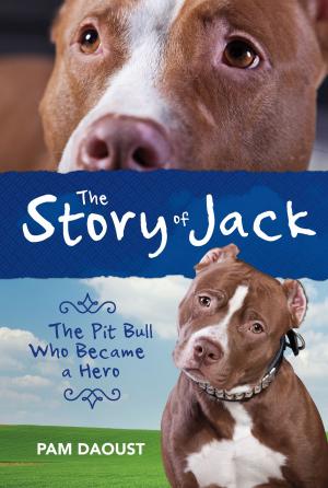 Book cover of The Story of Jack