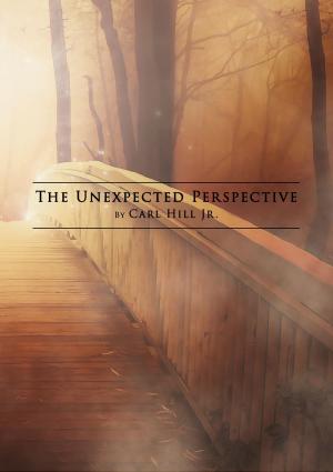 Cover of the book The Unexpected Perspective by Steven Shafarman