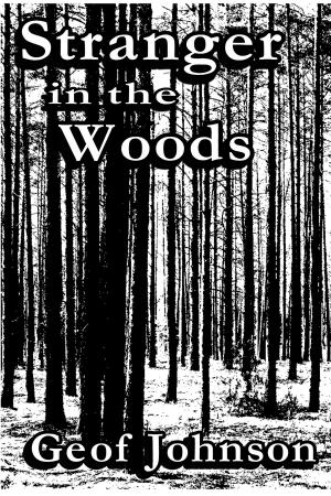 bigCover of the book Stranger in the Woods by 