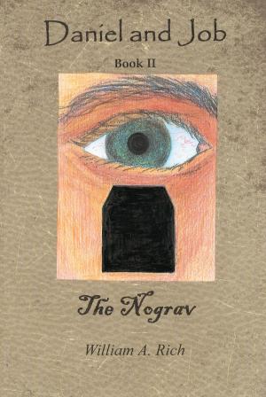 Cover of the book Daniel and Job, Book II: The Nograv by Wanda Baham Sturrock