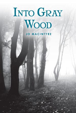 Cover of the book Into Gray Wood by Isabella Stewart