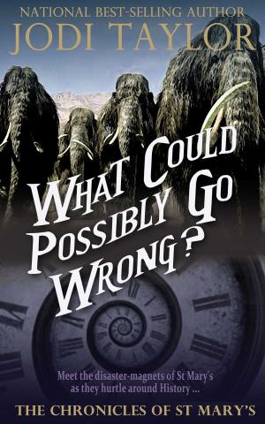 bigCover of the book What Could Possibly Go Wrong?: The Chronicles of St. Mary's Book Six by 