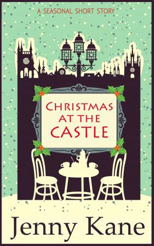 Cover of the book Christmas at the Castle by Serenity King