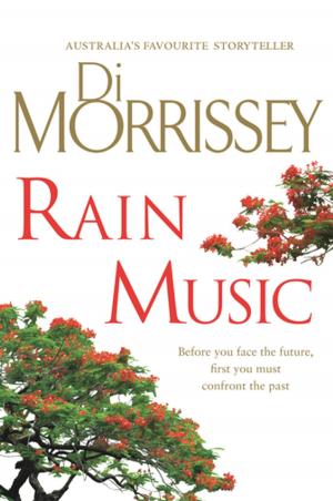 Book cover of Rain Music