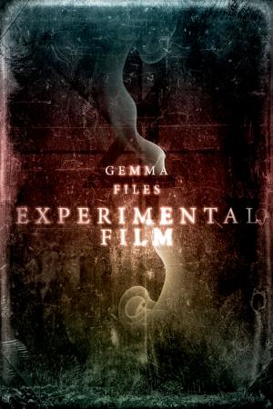 Cover of the book Experimental Film by David Nickle