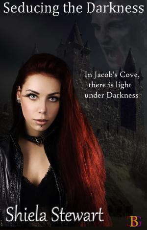 Cover of the book Seducing the Darkness by K. M. Tolan