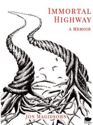Book cover of Immortal Highway