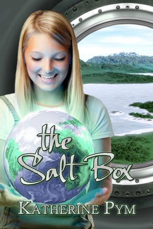 bigCover of the book The Salt Box by 