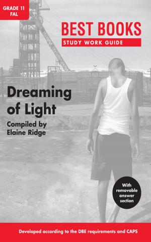 Cover of the book Best Books Study Work Guide: Dreaming of Light by Riens Vosloo