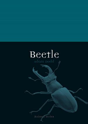 Book cover of Beetle