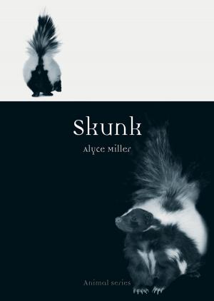 Cover of the book Skunk by David J. Code