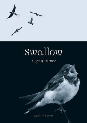 Cover of the book Swallow by Boria Sax