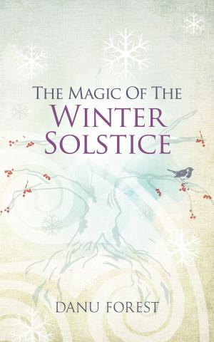 Cover of the book The Magic of the Winter Solstice: Seasonal celebrations to honour nature's ever-turning wheel by Marlise Karlin