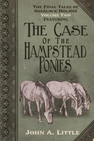 Cover of the book The Final Tales of Sherlock Holmes - Volume 2 by Richard Lockridge, Frances Lockridge