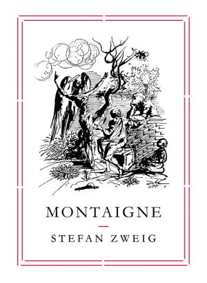 Cover of the book Montaigne by Guillermo Cabrera Infante