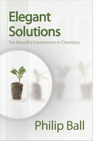 Cover of the book Elegant Solutions by Nicholas J Turner, Luke Humphreys