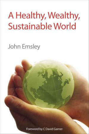 Cover of the book A Healthy, Wealthy, Sustainable World by James R Hanson
