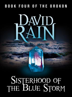 Cover of the book Sisterhood of the Blue Storm by Alison R. Lanier, Jef C. Davis