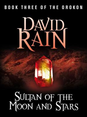 Book cover of Sultan of the Moon and Stars