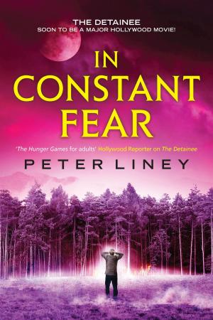 Cover of the book In Constant Fear by Margaret K. Nydell