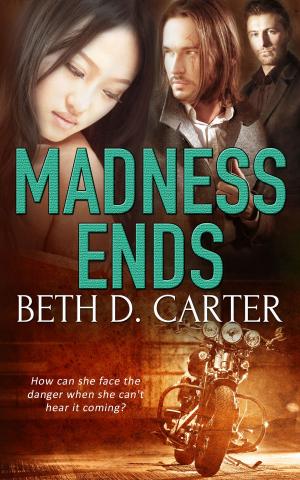 Cover of the book Madness Ends by Nan Comargue, Virginnia  DeParte, Cerise DeLand