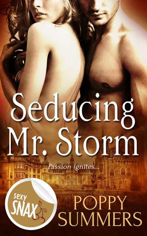 Cover of the book Seducing Mr. Storm by Kim Dare