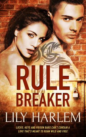 Cover of the book Rule Breaker by Patricia Pellicane