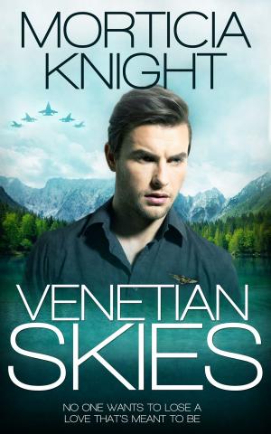 Cover of the book Venetian Skies by K. Evan Coles, Brigham Vaughn