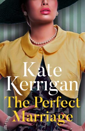 Book cover of The Perfect Marriage