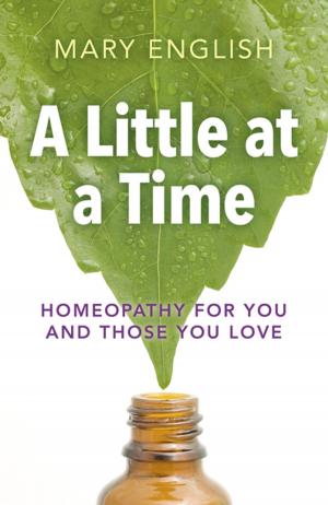 Cover of the book A Little at a Time by Sue Johnson