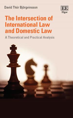 bigCover of the book The Intersection of International Law and Domestic Law by 