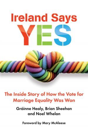 Cover of the book Ireland Says Yes by Stephen Kelly