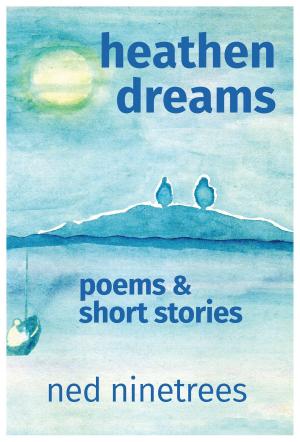 Cover of the book Heathen Dreams by Simona Paravani-Mellinghoff