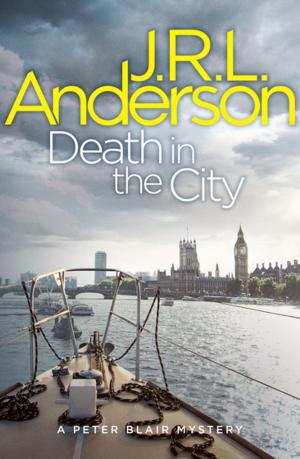 Cover of the book Death in the City by Mark Lowery