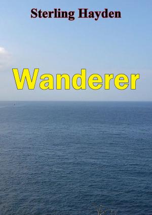 bigCover of the book Wanderer by 