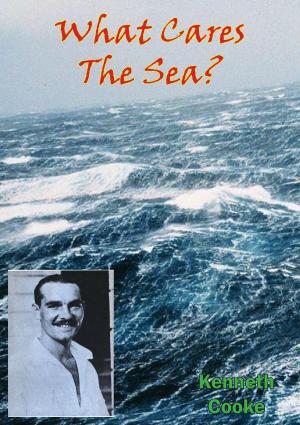 Cover of the book What Cares The Sea? by General-Major Burkhart Müller-Hillebrand