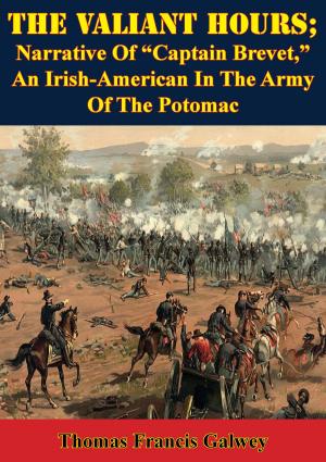 bigCover of the book The Valiant Hours; Narrative Of “Captain Brevet,” An Irish-American In The Army Of The Potomac by 
