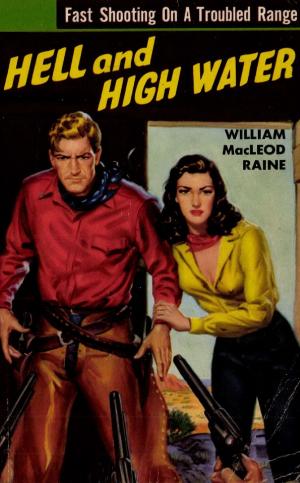 Cover of the book Hell And High Water by LTC William L. Greenberg